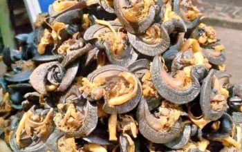 Grilled snail for sale