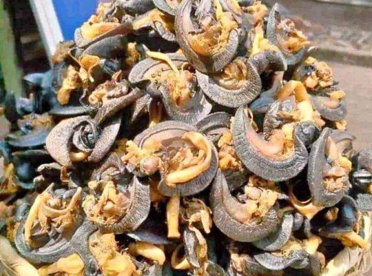 Grilled snail for sale