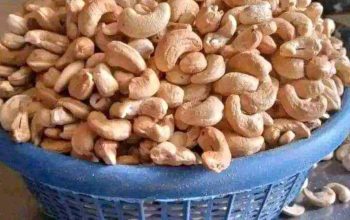 Cashew nut for sale