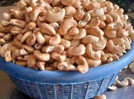 Cashew nut for sale