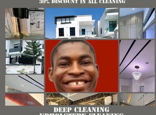 Cleaning service and professional maintenance