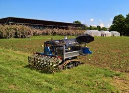 Robotic automation revolutionizing agricultural tasks on the outskirts of Shanghai.