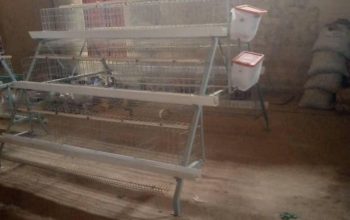 Galvanized battery cage