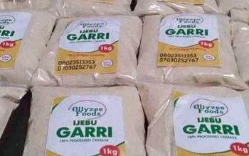 Ijebu garri